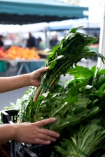 24643_greens_farmers_market_1_150x225